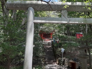 20210721_122404.jpg
